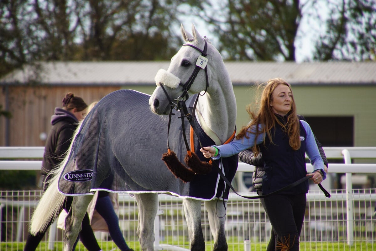 York Races, October 2023 / York Races 2023 / 2023 Galleries / Archive ...