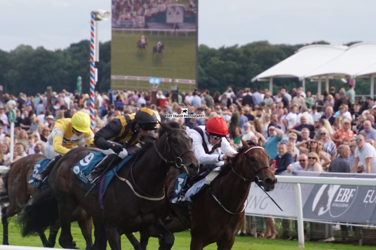 York Races, Music Meeting July 2023 / York Races 2023 / 2023 Galleries ...