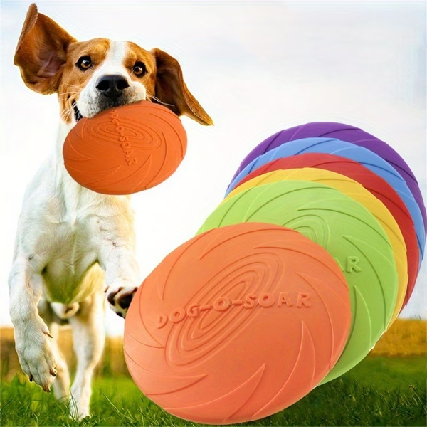 disque volant interactif pour chien