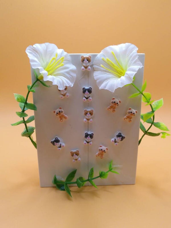 Niedliche-Mini-Kätzchen