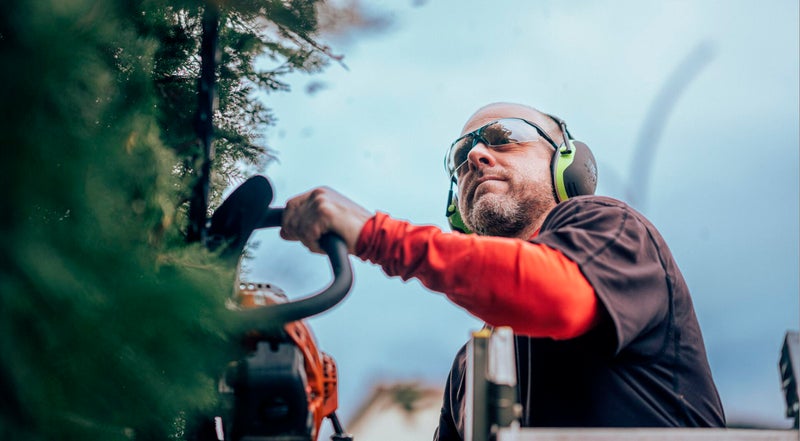 poda-seto-beasain-goiherri-gipuzkoa