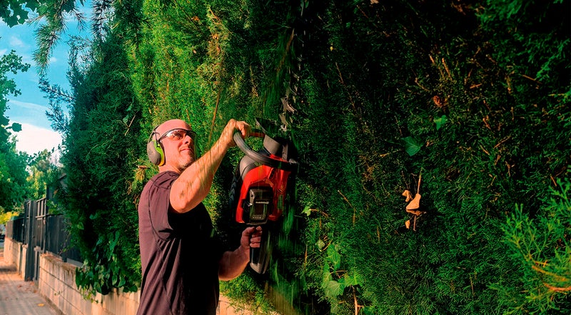 poda-seto-zizur-mayor-pamplona-navarra