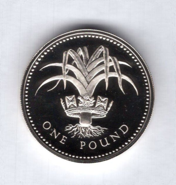 Great Britain. Silver Proof £1 1985.  dy15186