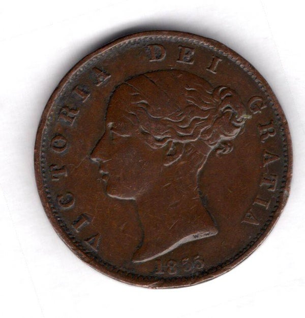 Victoria. Halfpenny 1855.   DY15973