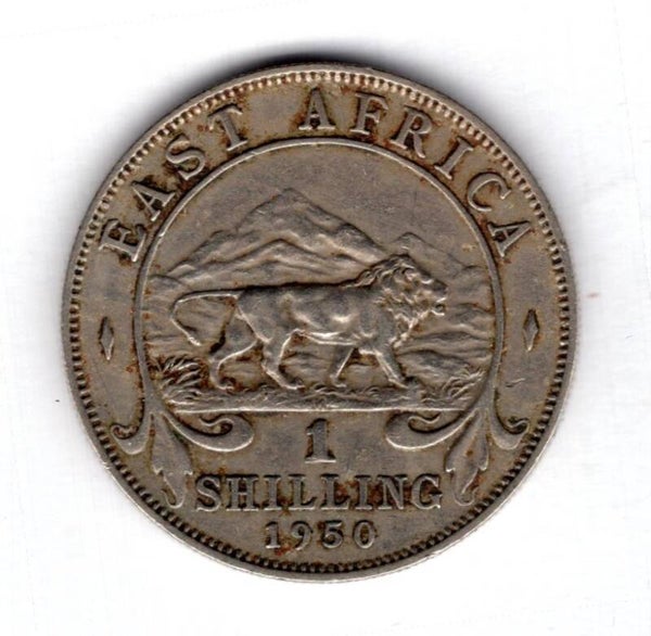 East Africa. Shilling 1950.    DY17282