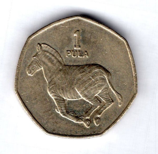 Botswana. Pula 1991.    DY18251