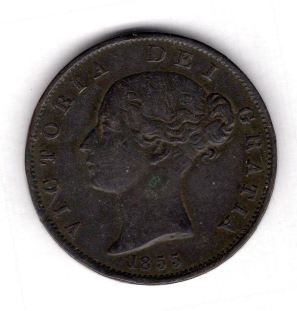 Victoria. Halfpenny 1855.   DY18550