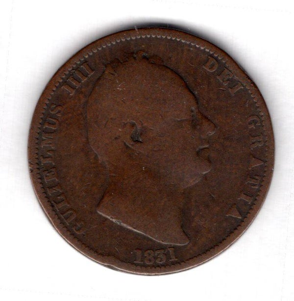 William IIII. Halfpenny 1831.   DY19843