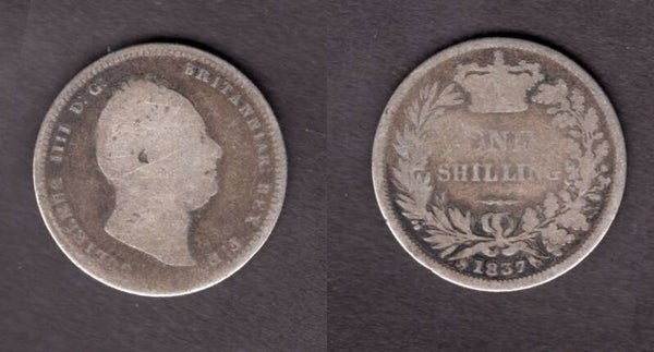 William IV. Shilling 1837    dy22919