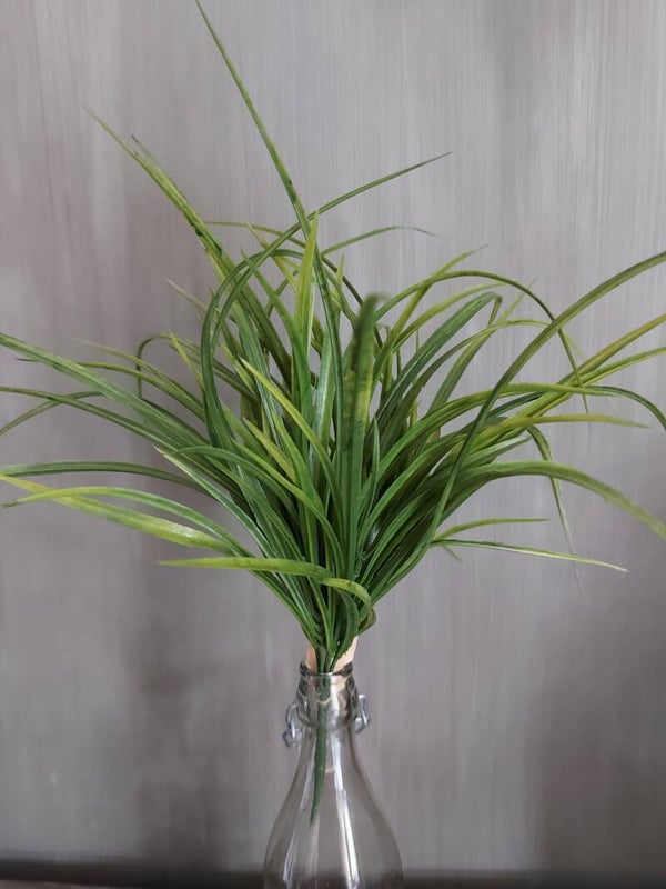 Siergras 40cm