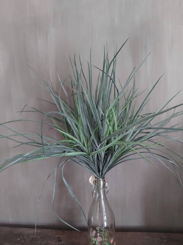 Siergras 50cm