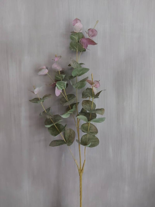 Eucalyptus groen/ roze