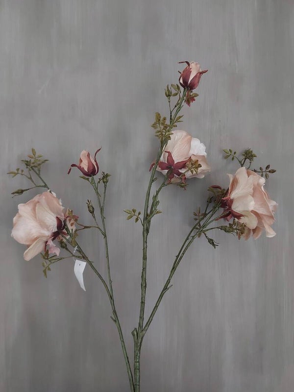 Rosa Spray Beige
