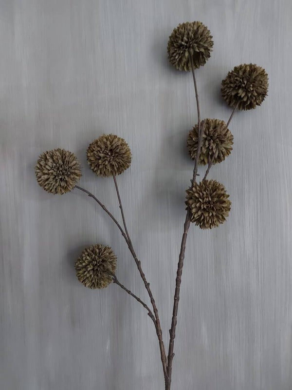 PomPom tak