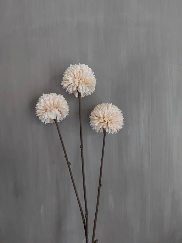 PomPom tak