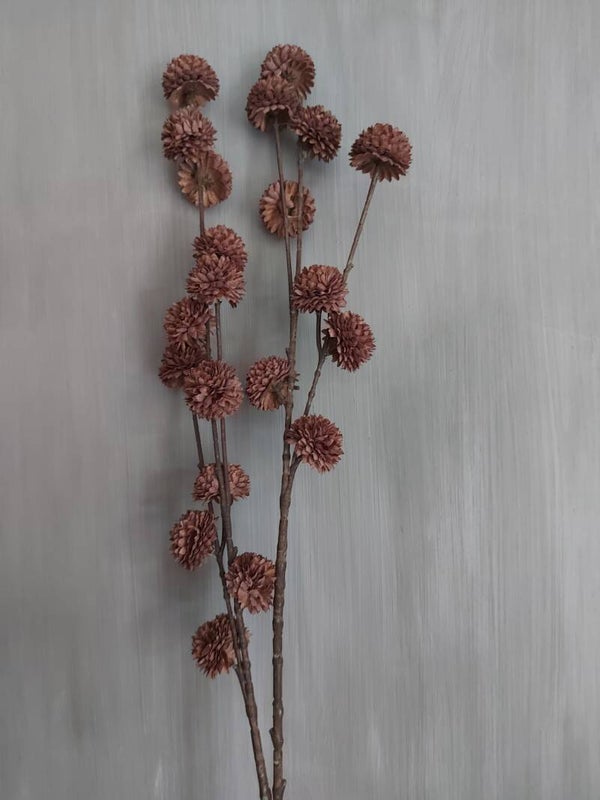 PomPom tak