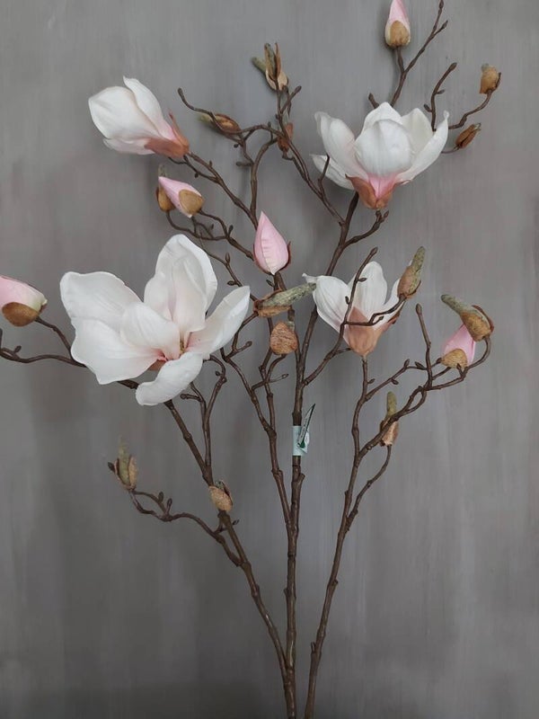 Magnolia tak 4 bloemen