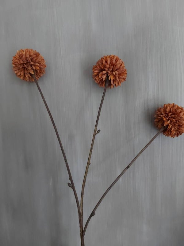 PomPom tak