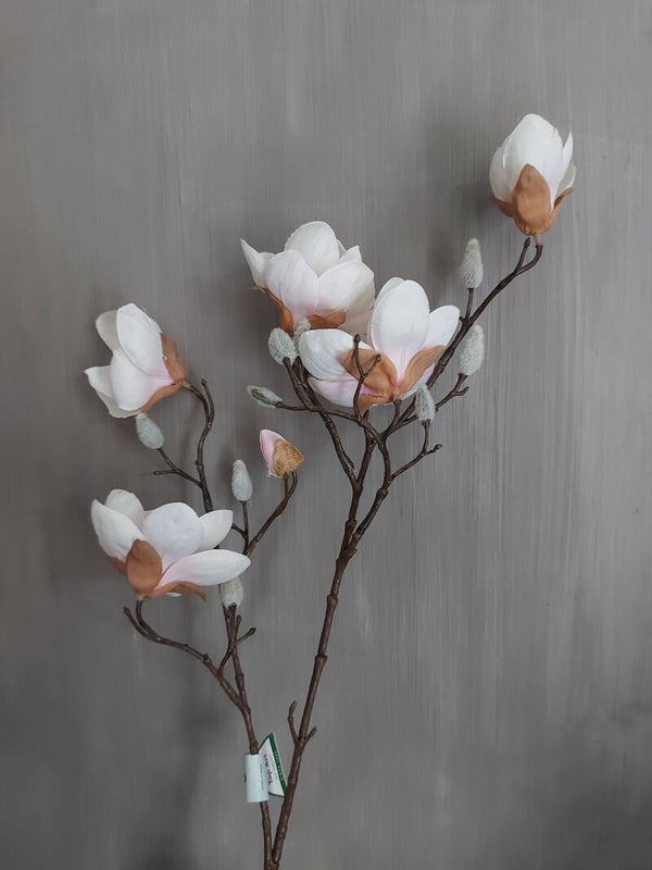 Magnolia tak creme/roze