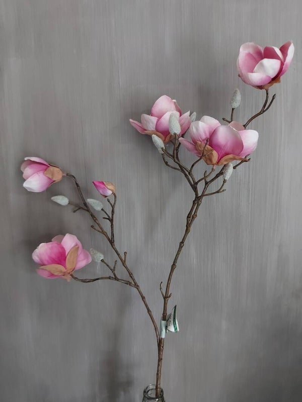 Magnolia roze