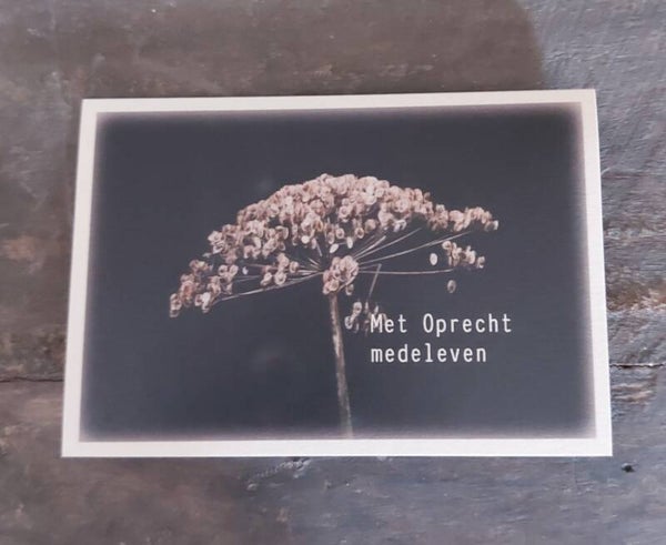 Kaart Met Oprecht medeleven