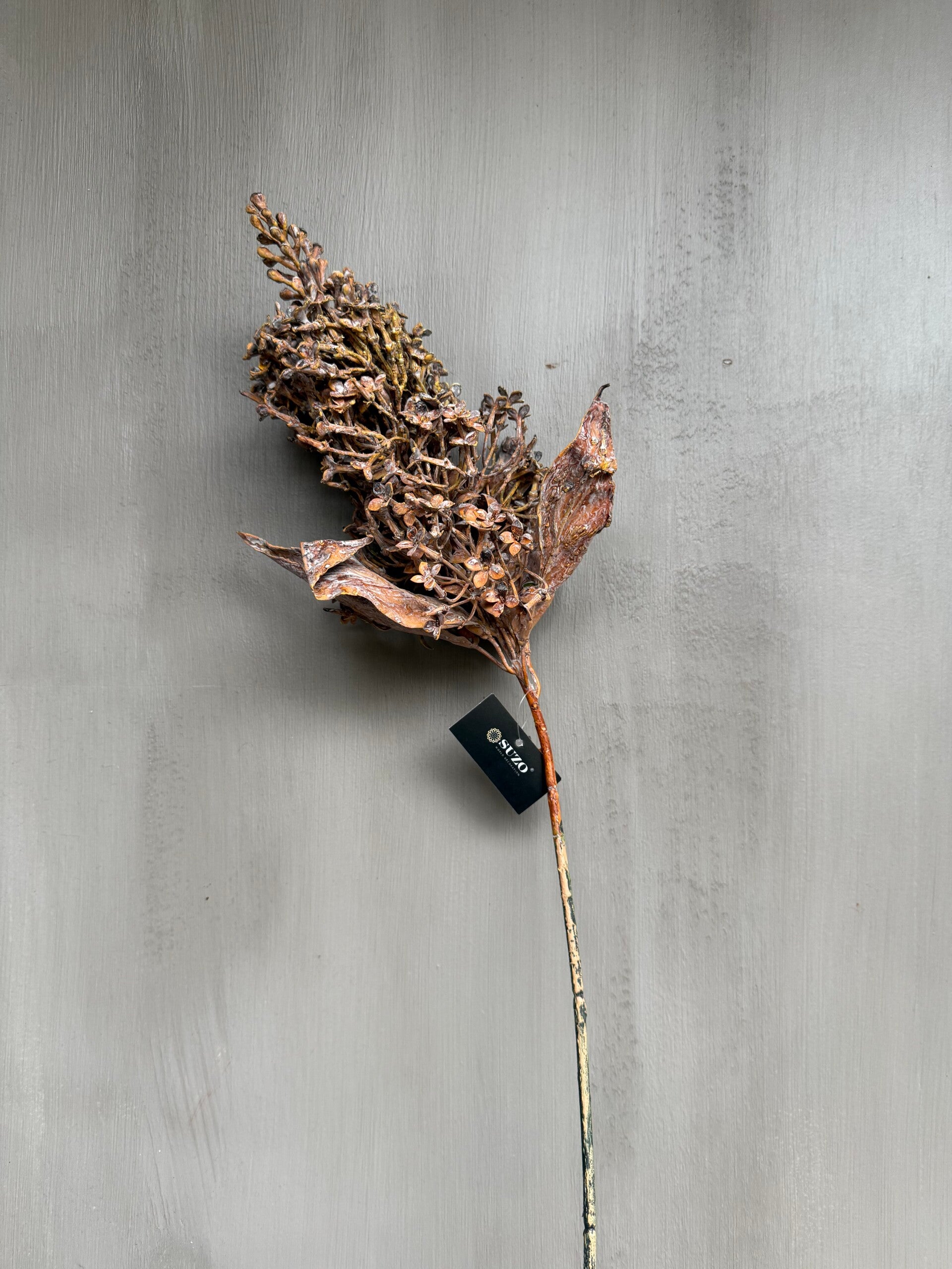 Fall Faux Dry Spray Full Cappuccino