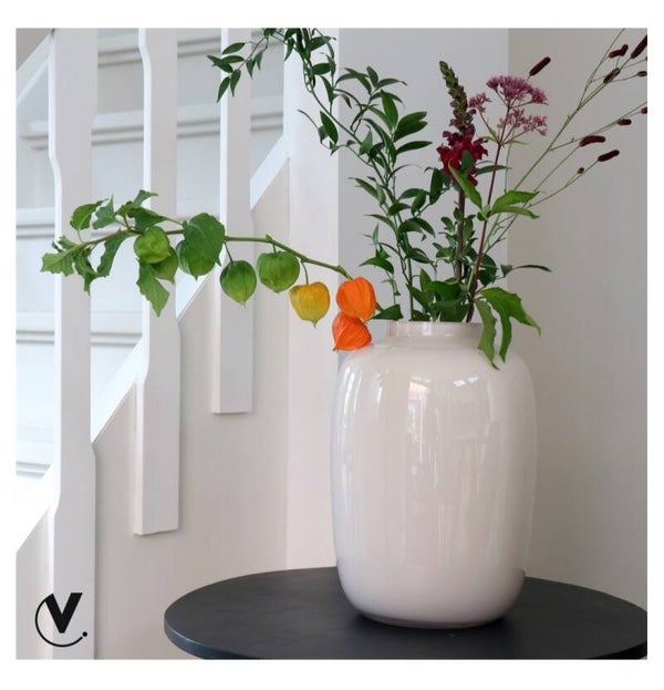 Vaas Artic Ivory