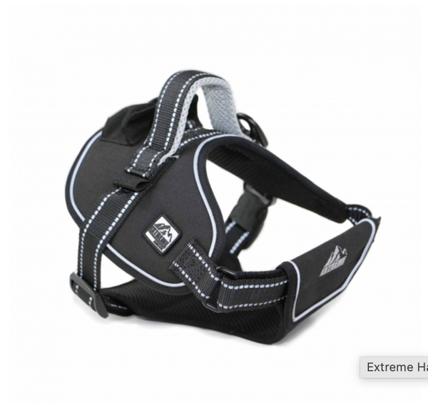 Extreme Harness Black XL 87-120cm