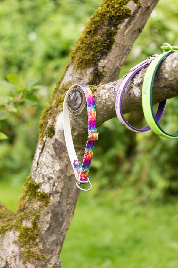 Zugstophalsband