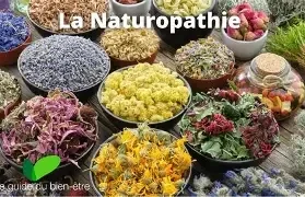 CONSULTATION NATUROPATHE de SUIVI