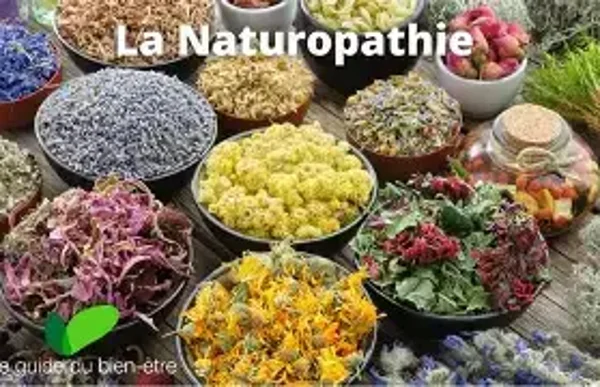 CONSULTATION NATUROPATHE de SUIVI