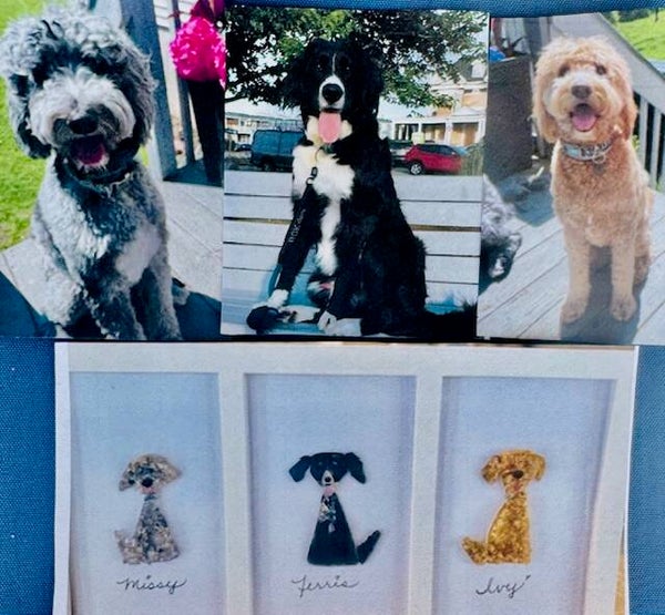 Pet Portrait Trio