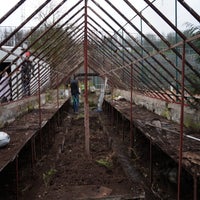 DSC00342-4.jpg