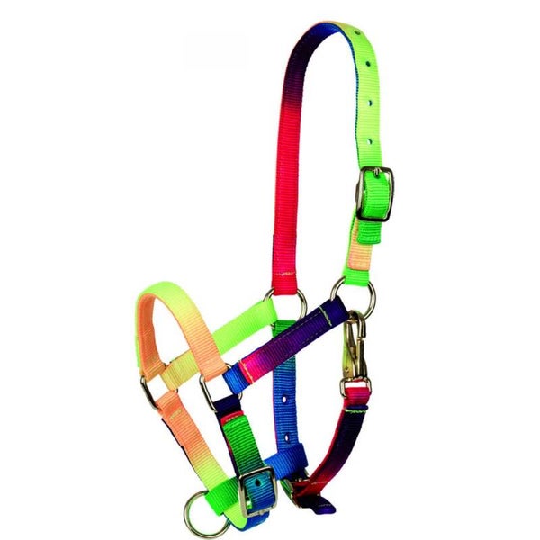 Licol Tattini Multicolore Poulain