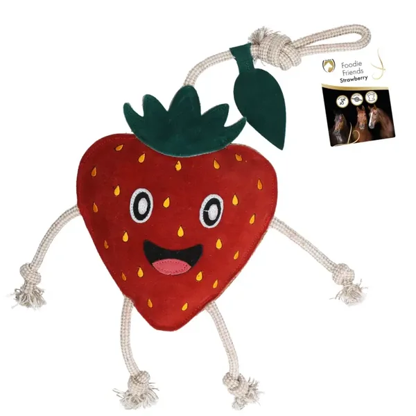 Mon Compagnon Fraise