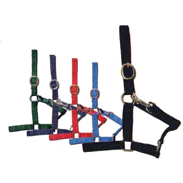 Licol en Nylon Résistant