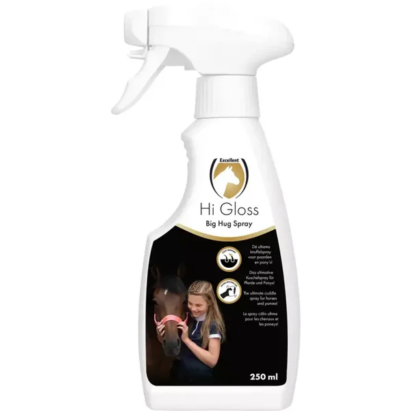 Hi Gloss Big Hug Spray