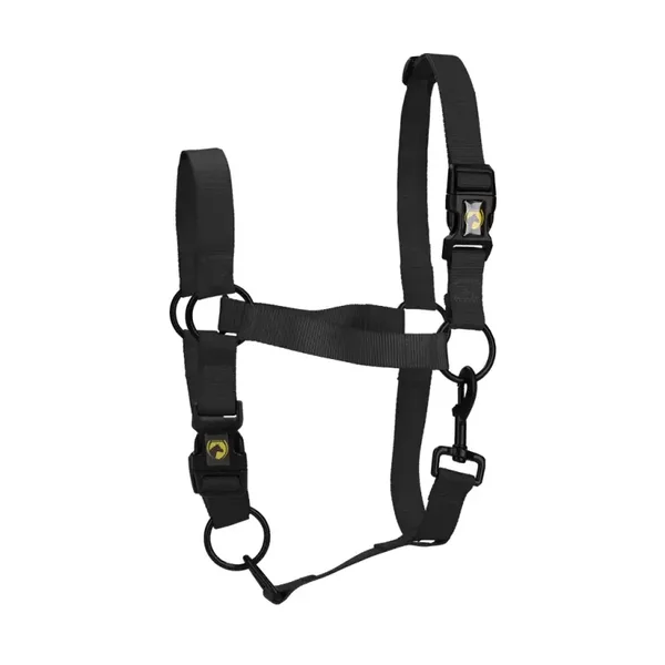 Licol Essential – Excellent Chevaux M