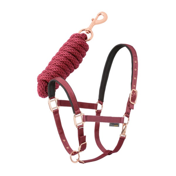 SET DASLÖ GOLD – Longe + Licol