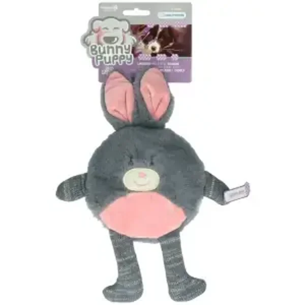 Lapin câlin pour chiots et chiens doux