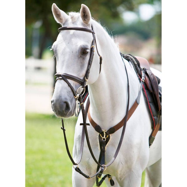 Collier de chasse Tattini