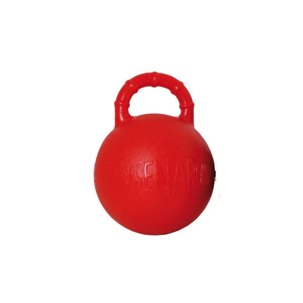 Ballon d’écurie