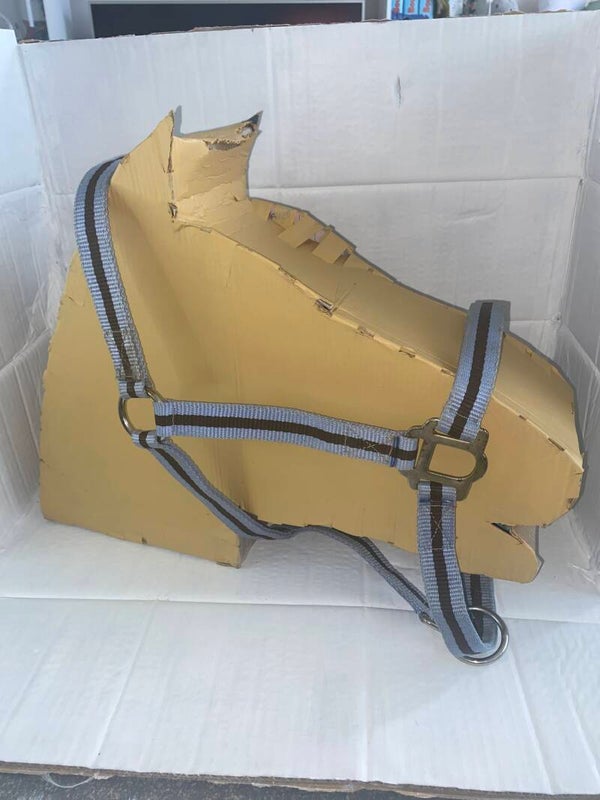 Licol bleu taille Full