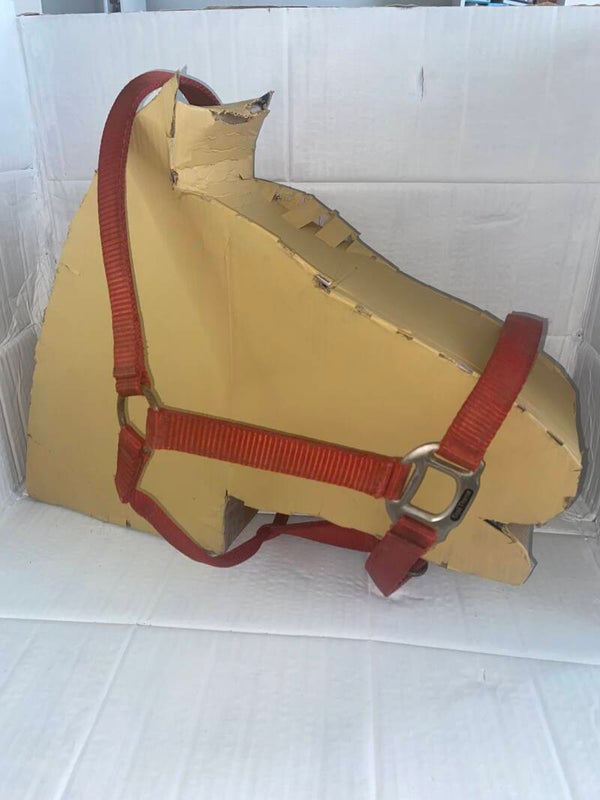 Licol taille Cob Equithème