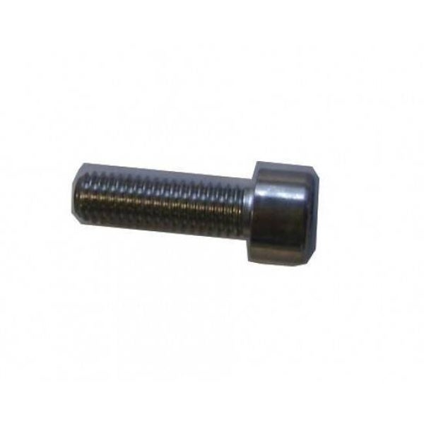 Fork M6 x 25 Cap Screw