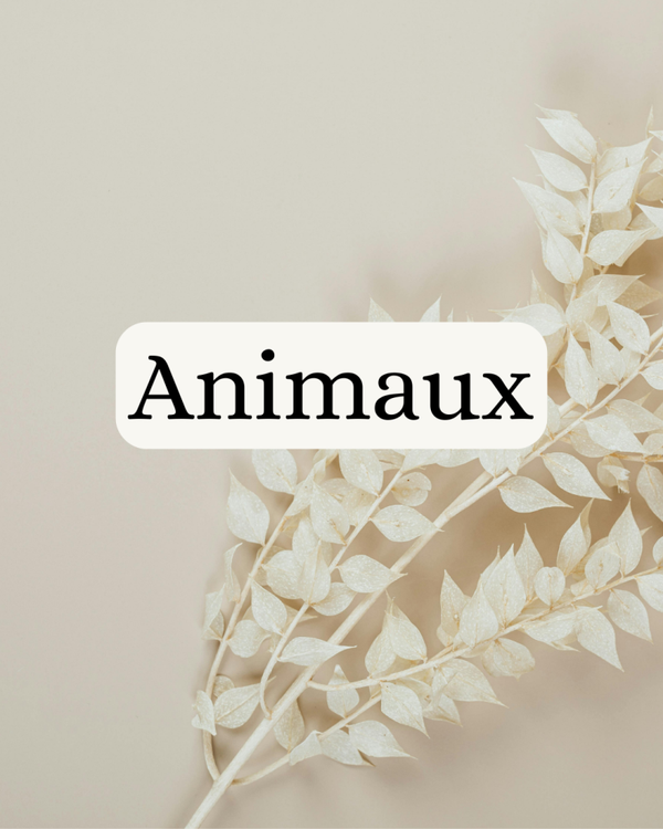 Médailles et objets gravés personnalisés pour animaux