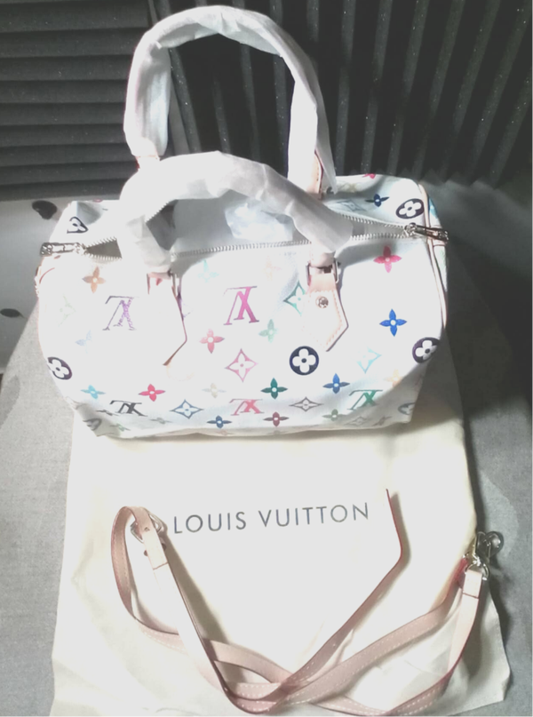 LV Speedy Bag