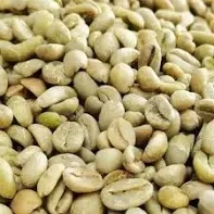 Robusta Green Coffee Beans Grade 1 Raw Clean Fair Trade From Ethiopia