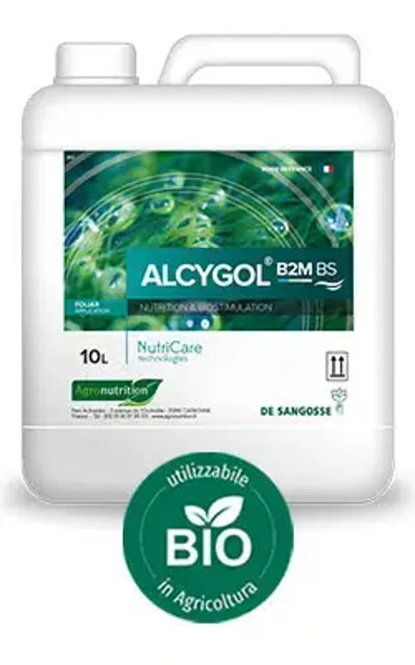 ALCYGOL B2M BS