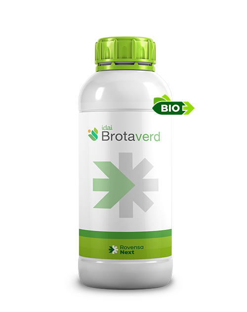 BROTAVERD